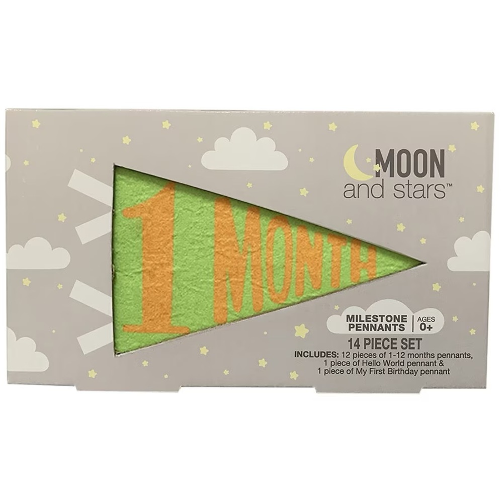 NEW Moon and Stars 14 piece Milestone Pennants